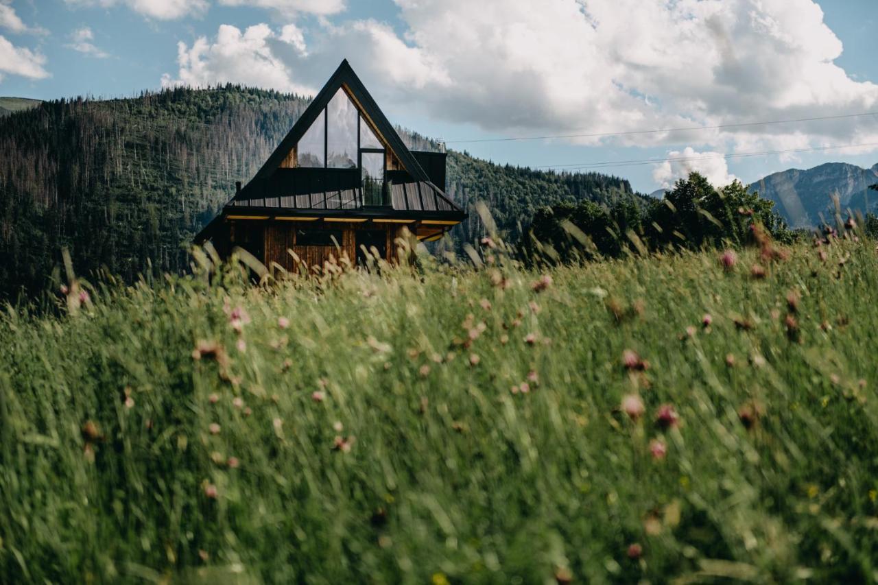 Sywarne Chalet Kościelisko Exterior foto